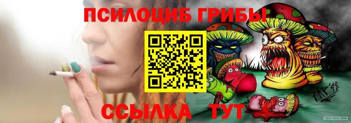 Псилоцибиновые грибы Cubensis  Вход с VPN  Псилоцибиновые грибы мицелий  купить наркоту  Лабытнанги 
